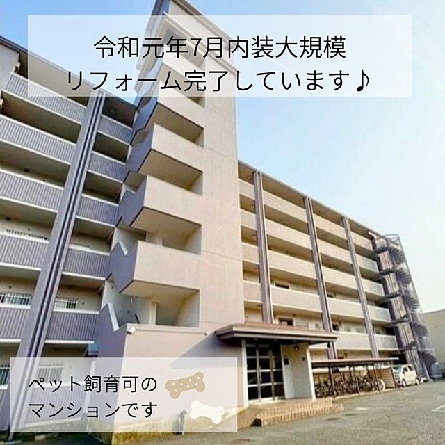 ペット飼育可マンション♪ ペット飼育可マンション♪