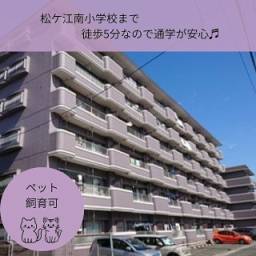 サンライフ恒見Ⅱ 管理のしっかりしているマンションです。