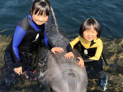 私の姪っ子達です♪水泳が大好きでイルカと一緒に泳いでました(*´▽｀*)私もいつか、、、イルカに乗りたいと思います!!